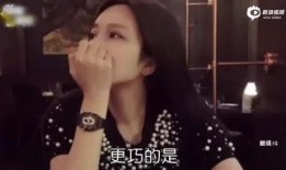 网红小猪爆料视频大全,揭秘娱乐圈幕后真相